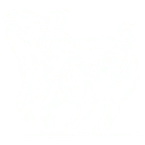 piggy-happy-white-cross-cross-tradition-10