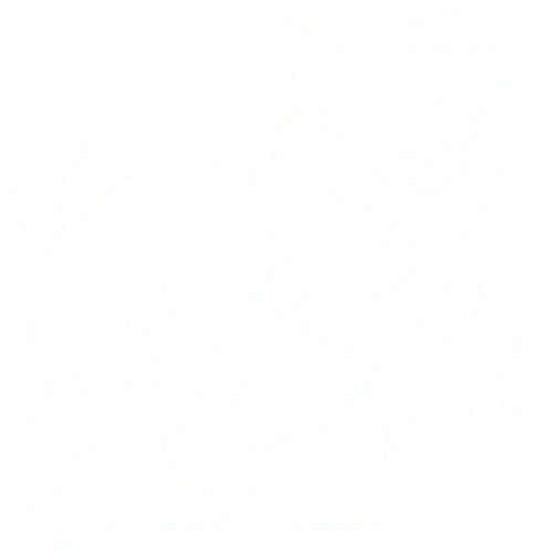 piggy-happy-white-cross-cross-transition-2