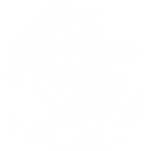 piggy-happy-white-cross-cross-transition-9
